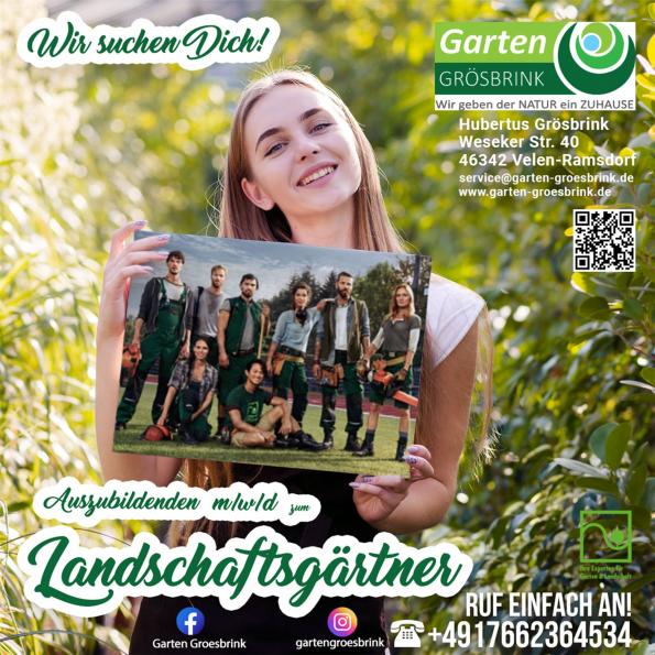 Stellenanzeige Auszubildende